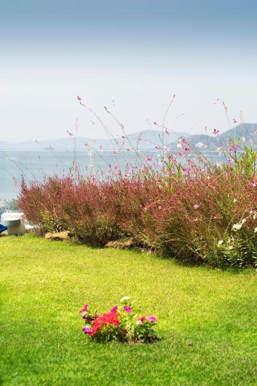 Bodrum Horizon Villas Eksteriør bilde